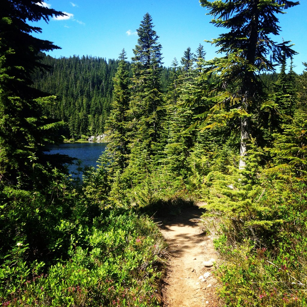 Island Lake Rainbow Lake — Washington Trails Association
